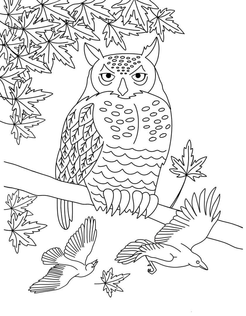 
                  
                    Coloring Book - Imagine a Maple Tree
                  
                